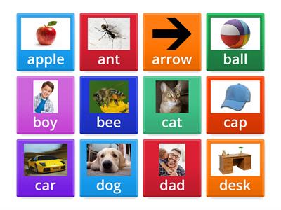 Phonics Star 1 - Unit 1 Flashcards