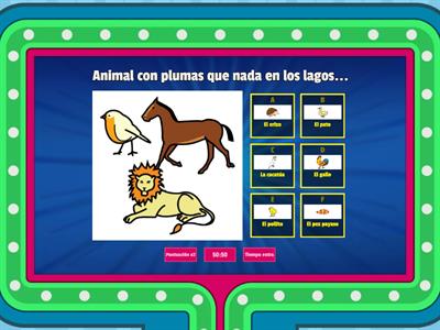 Elige la correcta - Recursos didácticos