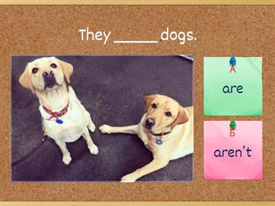 Be (negative / positive)