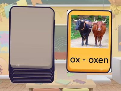 Irregular Plurals (Round-Up 1)