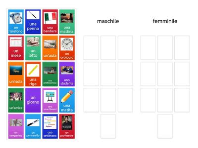 maschile _ femminile