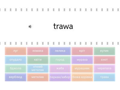 Польська мова (Мацькович) 8 клас 5урок