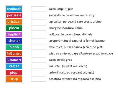 Stupul lor - exerciții de vocabular