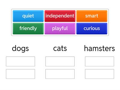 cats, dogs and hamsters characteristics