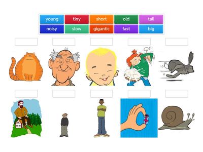 Descriptive Adjectives Match Up