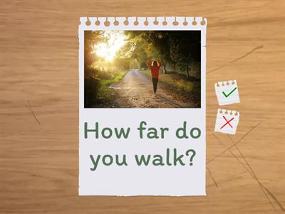 SpeakOut A2 4B How much / many, etc.