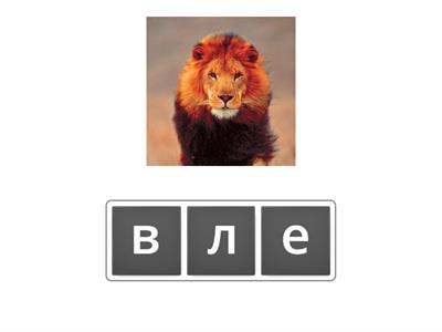 дикие животные