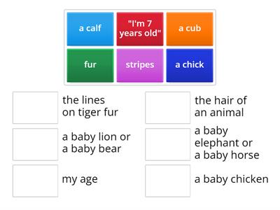 Vinschool - Science - Unit 4