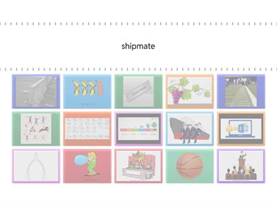 Reptile/Rabbit Words