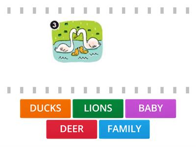 Animal Families