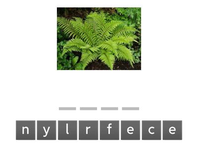 Буквосочетание er