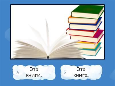 Сорока 1. Урок 4. WB