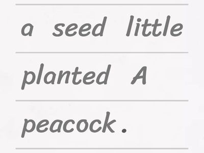 Unjumble the sentences
