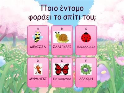 Έντομα 