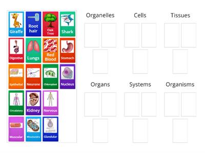 Structural Hierarchy Group Sort