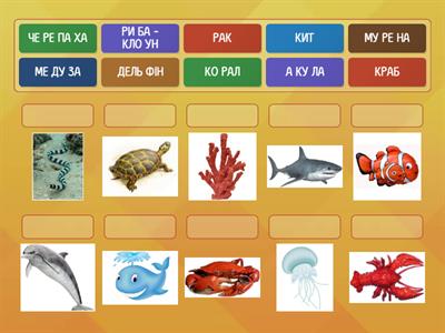 морські жителі. Читання