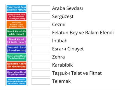 Tanzimat Döneminde Roman