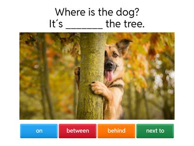 PREPOSITIONS OF PLACE: IN FRONT OF / BEHIND / BETWEEN / NEXT TO