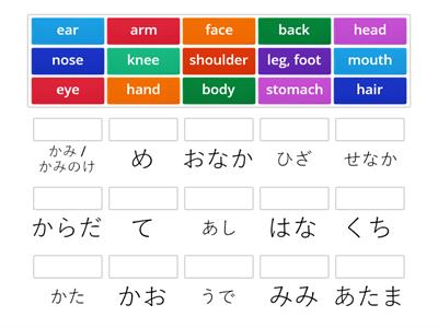 Japanese Body Parts