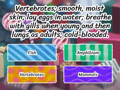 Animal and Plant Classification Quiz