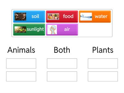 Basic Needs: Animals vs. Plants