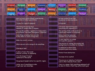 Amazon Jungle vocabulary