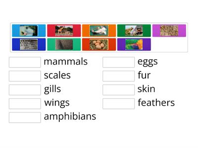   Oxford Discover 2 Revision