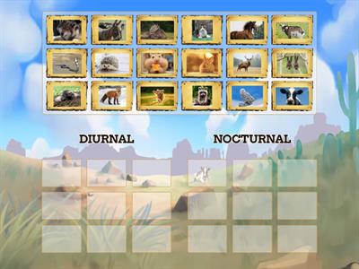 DIURNAL/NOCTURNAL ANIMALS CODE2