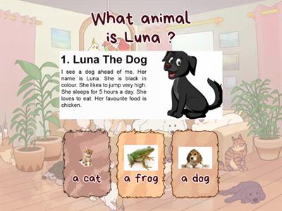 Reading Comprehension