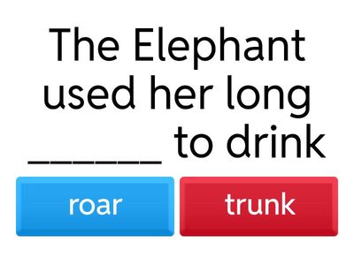 The lion and the elephant 