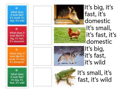 What does it look like?