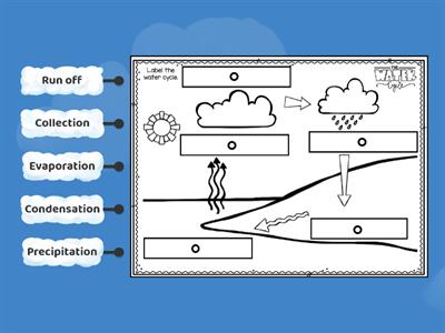 Label the Water Cycle