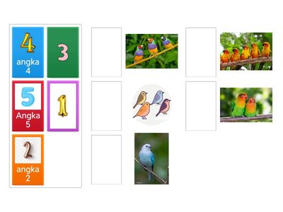 Memilih angka yang sesuai dengan jumlah gambar hewan burung