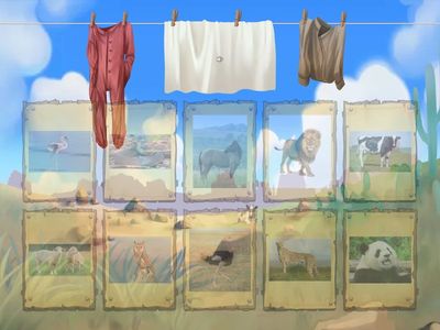 Zoo & Farm Animals 1