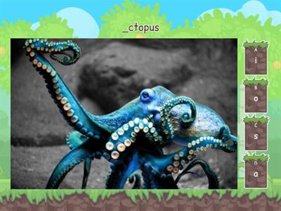 alphabet字母代表單字