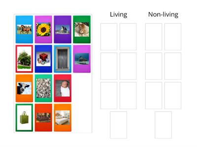 Living and Non-living things