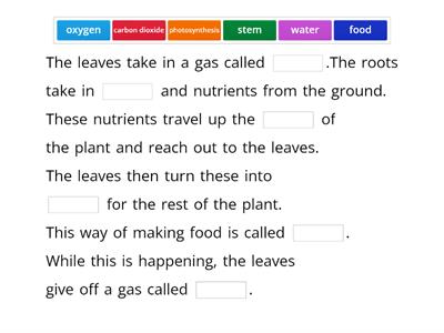 Photosynthesis