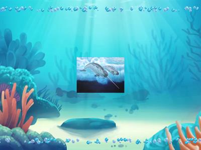 Морські жителі