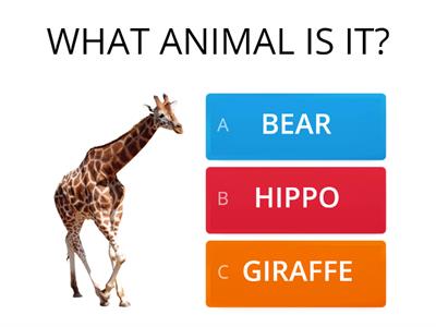 WHAT ANIMAL IS IT?