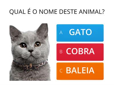 ANIMAIS DOMÉSTICOS E SELVAGENS (NOMES, LETRAS INICIAIS E FINAIS)