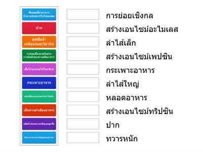 ระบบย่อยอาหาร