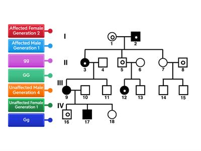  Pedigree Chart-Recessive Trait