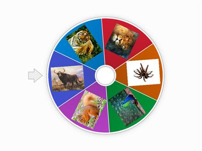 Крути колесо и пиши слова