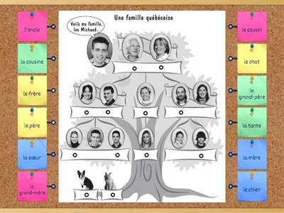 Bien dit! 1 - Vocabulaire 3.2 - La famille de Vincent