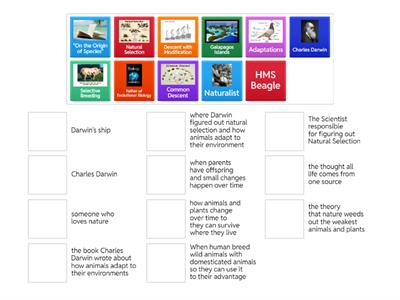 Natural Selection and Evolution