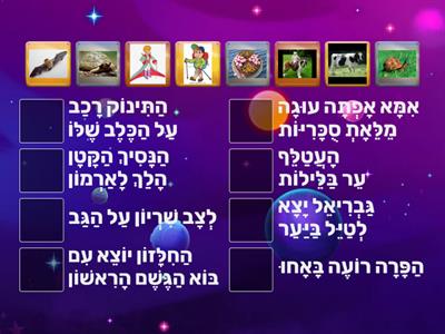 התאם בין משפט לתמונה