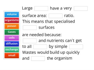 Exchange Surfaces