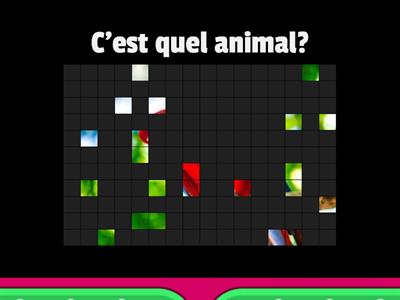 Les animaux