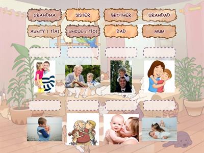 MATCH THE WORDS