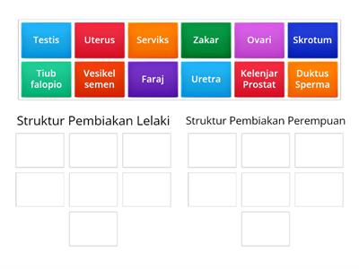 Struktur Pembiakan Lelaki dan Perempuan